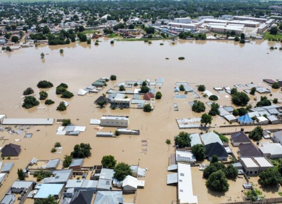Nigeria floods: Dam collapses in Nigeria… over 115 dead