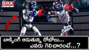 World’s first robot kickboxing tournament held in China