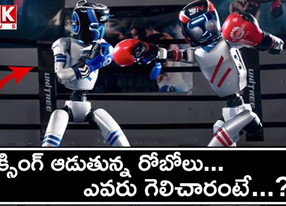 World’s first robot kickboxing tournament held in China