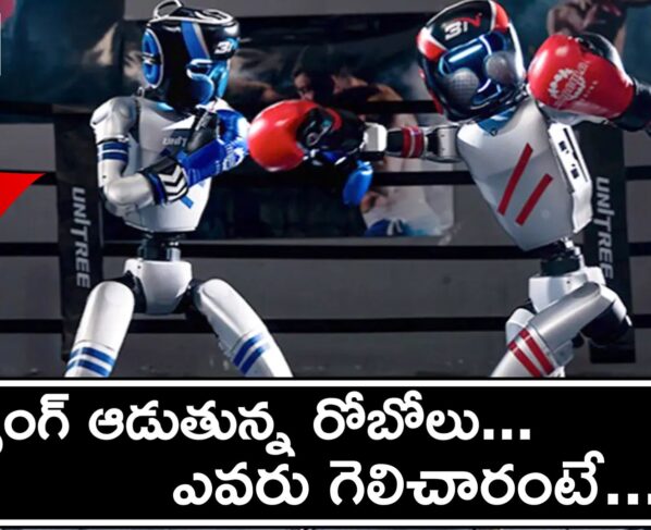 World’s first robot kickboxing tournament held in China