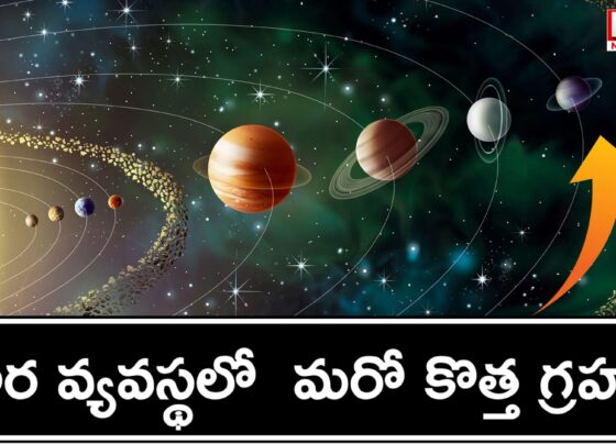 Another new planet in the solar system