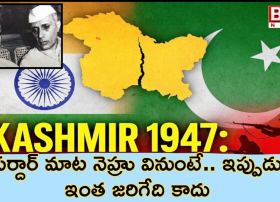 If Sardar Nehru had said this in 1947, this would not have happened now.