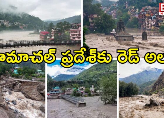 Red alert for Himachal Pradesh. Five-storey building collapses due to heavy rains