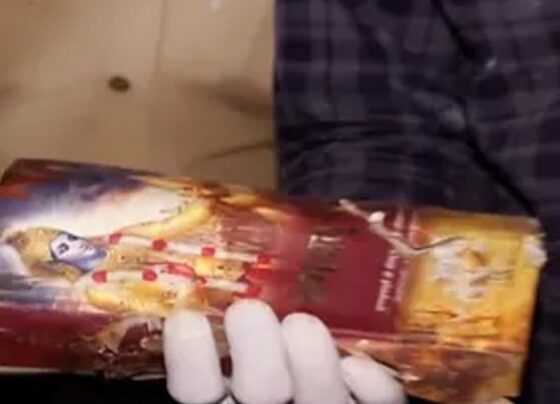 Hindu scripture Bhagavad Gita not burnt in Ahmedabad plane crash