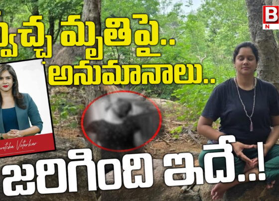 Suspicions over the death of freedom... This is what happened...!