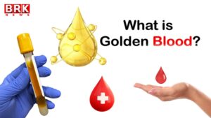 Do you know about the golden blood type?
