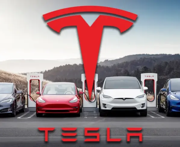 Tesla runs in India… Do you know how much it costs?