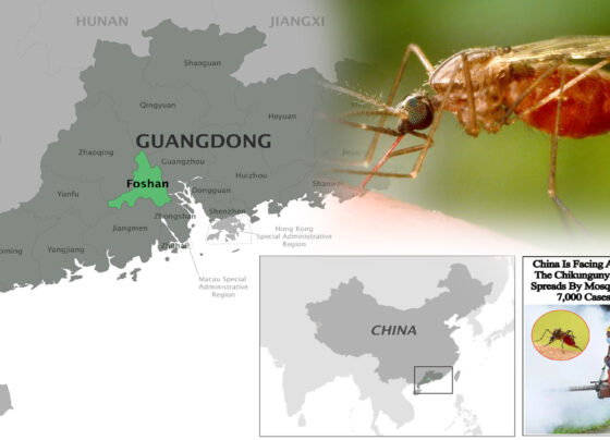 Another terrible virus in China.. 7 thousand cases registered per month