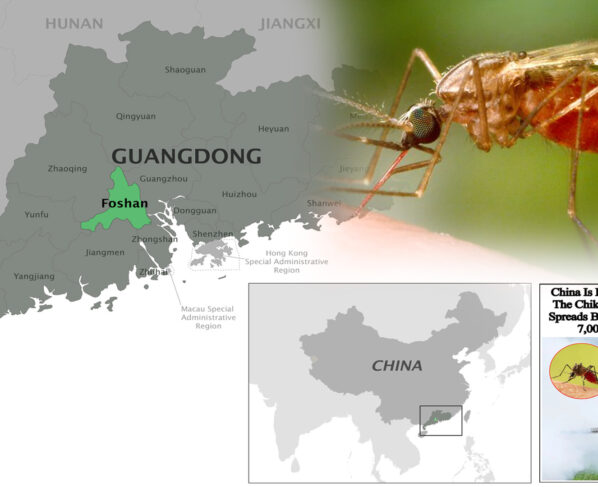 Another terrible virus in China.. 7 thousand cases registered per month