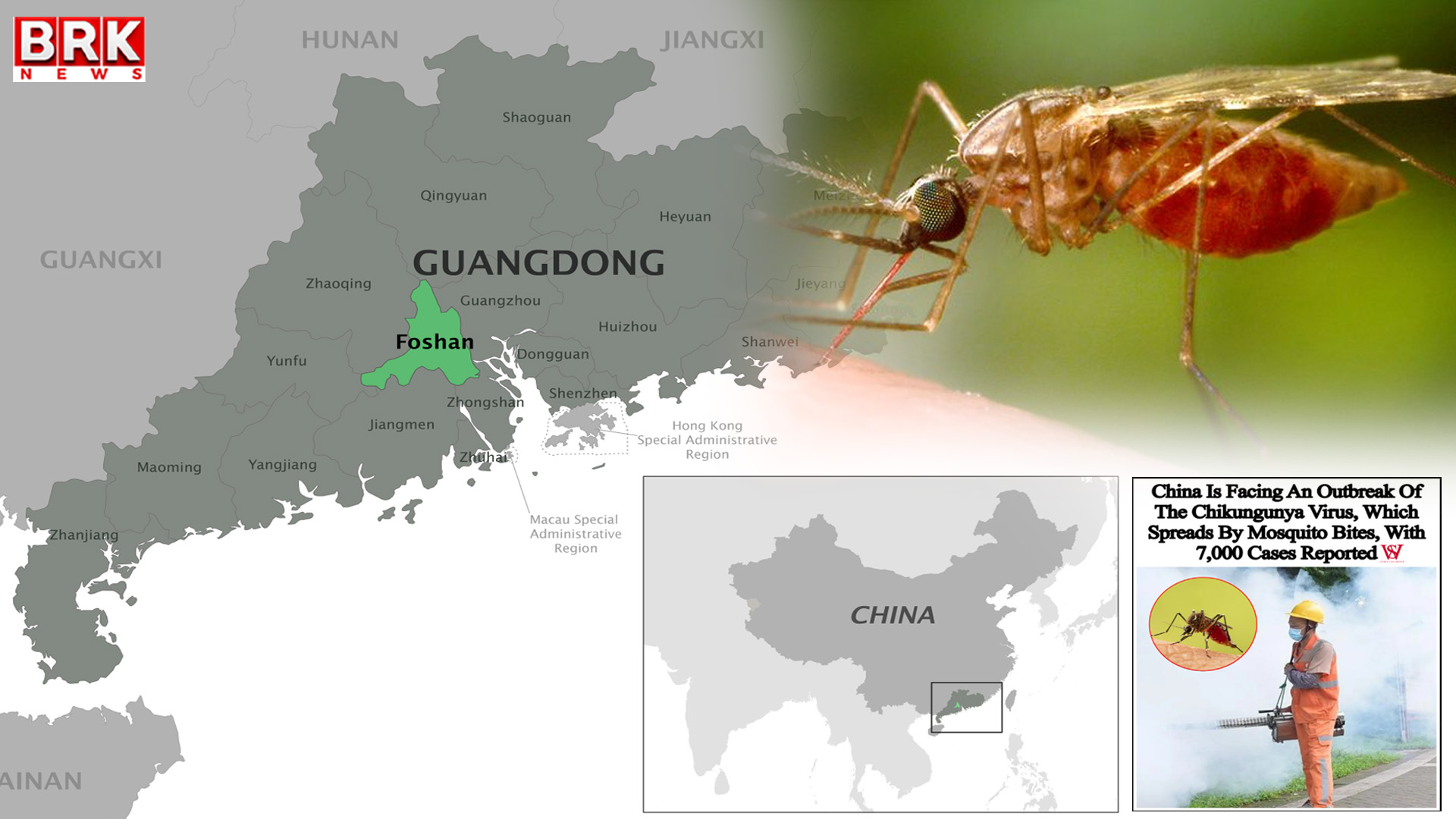 Another terrible virus in China.. 7 thousand cases registered per month