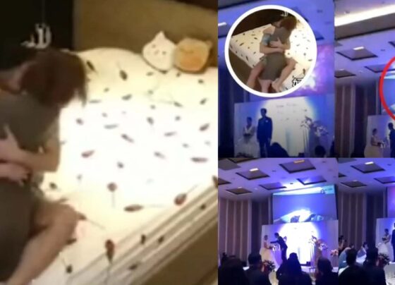 Bride's sex video leaked at wedding.. Bride in shock