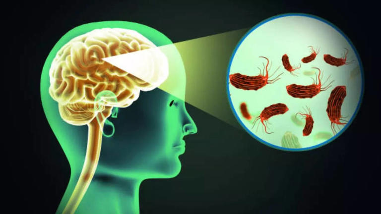 Brain-eating amoeba' in Kerala.. Should lockdown be imposed..?