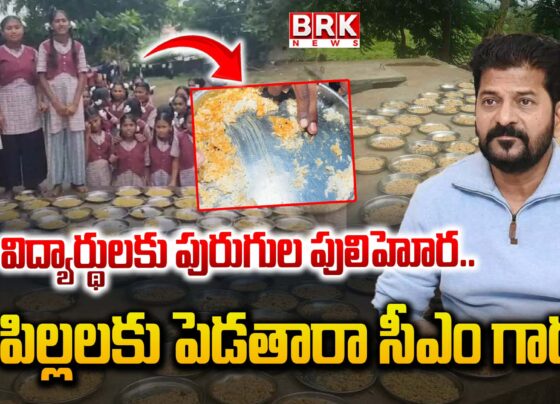 Officials feed worm-infested rice to school students in Telangana