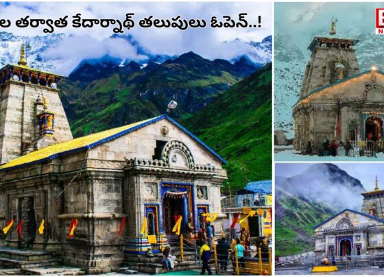 Kedarnath doors open after 6 months..! Kedareshwar darshan is coming soon..!