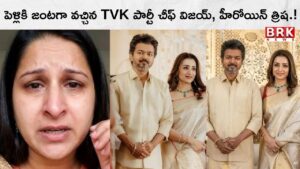 TVK party chief Vijay and heroine Trisha got married after a divorce case!